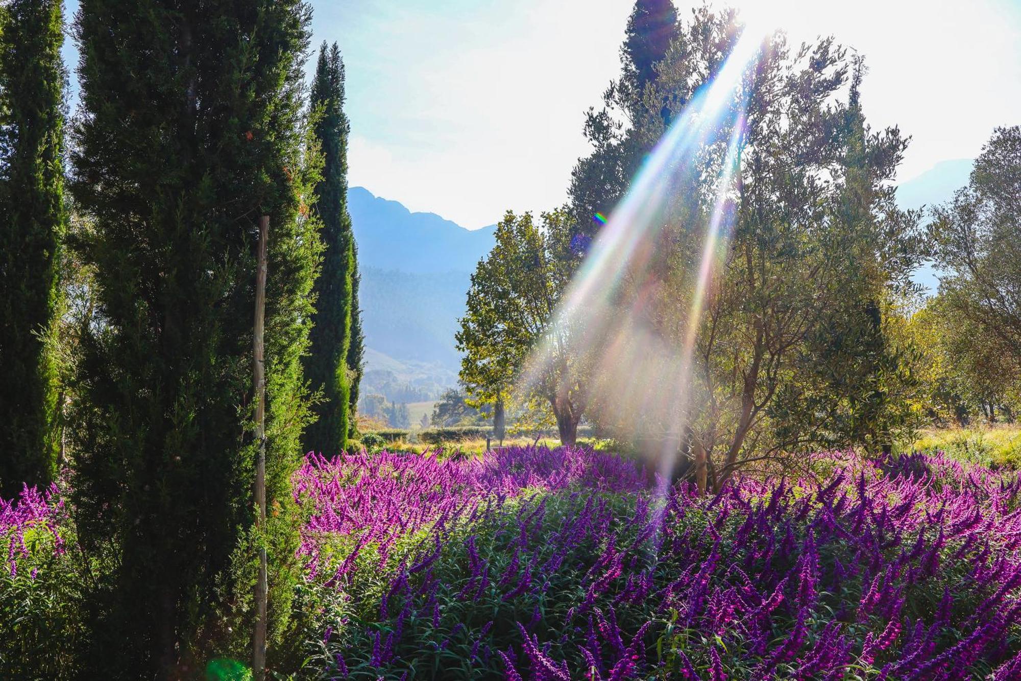 La Villa Franschhoek Esterno foto